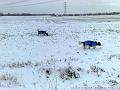 2010-01-06 20